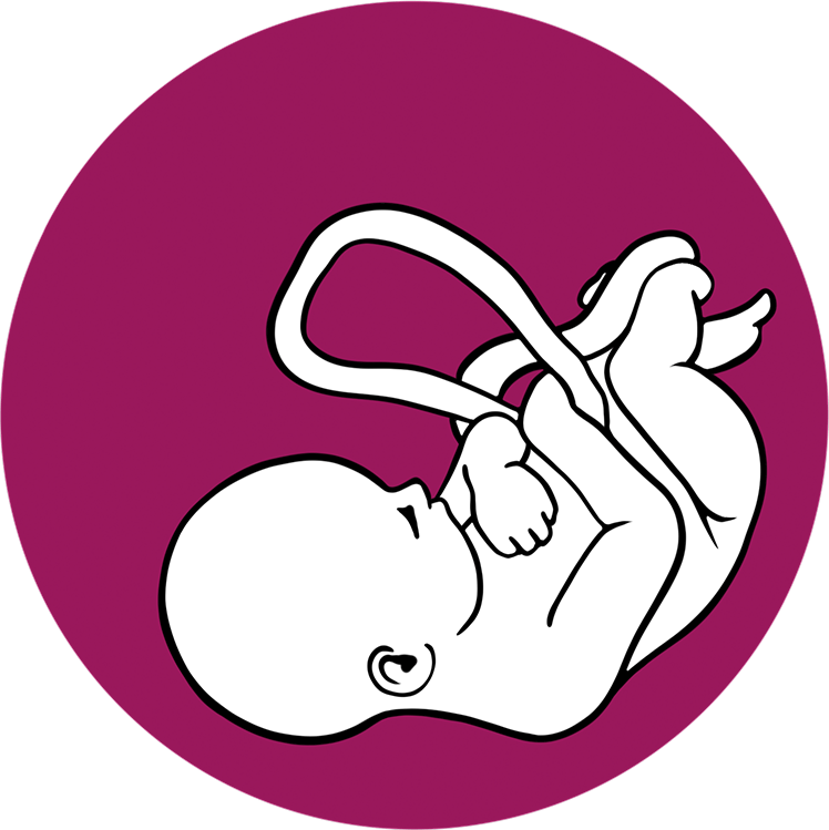 Logo Suivi Obstétrique
