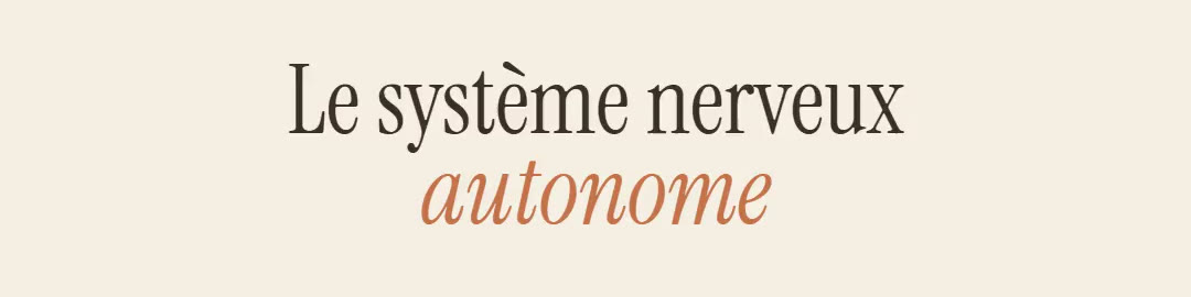 Le système nerveux autonome, expliqué par Caroline